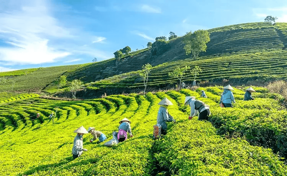 nhung-dia-diem-dang-hot-o-da-lat