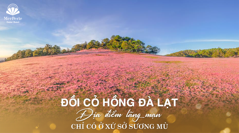 doi-co-hong-da-lat
