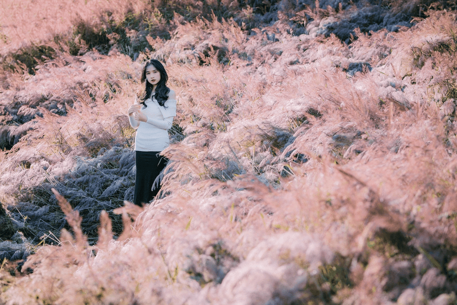 doi-co-hong-da-lat