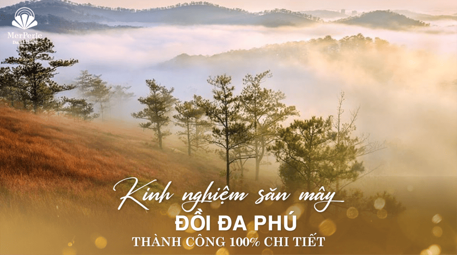 doi-da-phu