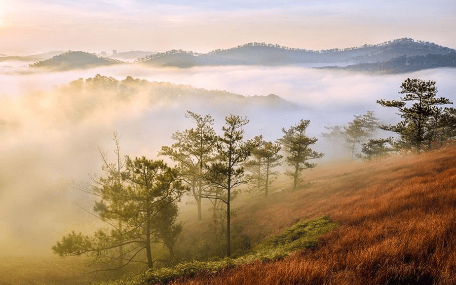 doi-da-phu