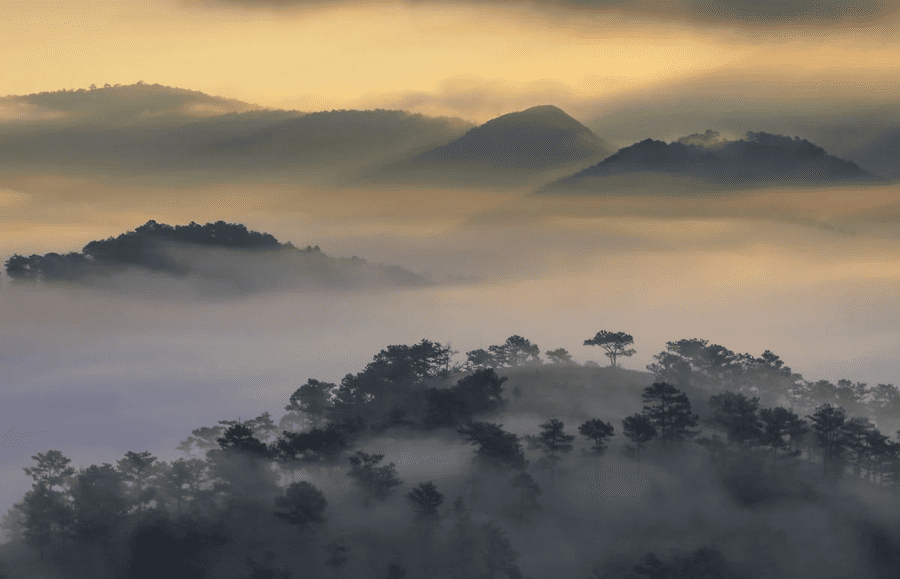 doi-da-phu