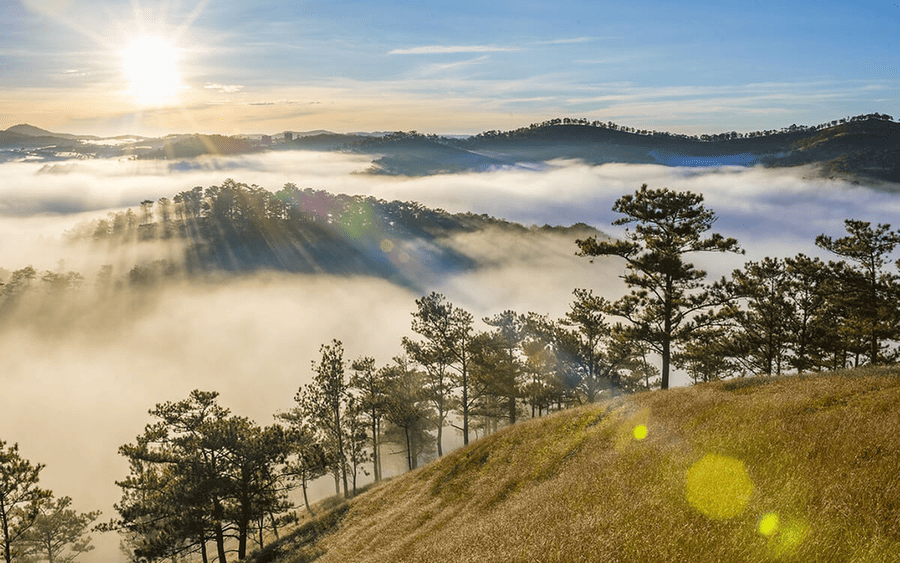 doi-da-phu