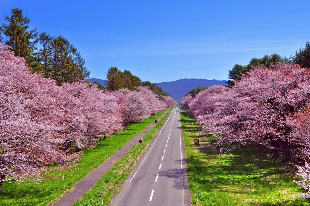 du-lich-da-lat-thang-may-dep-nhat 