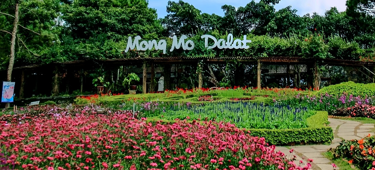 doi-mong-mo