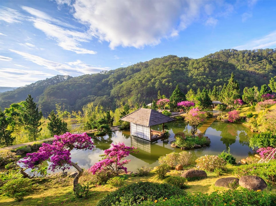 nen-di-da-lat-thang-may 