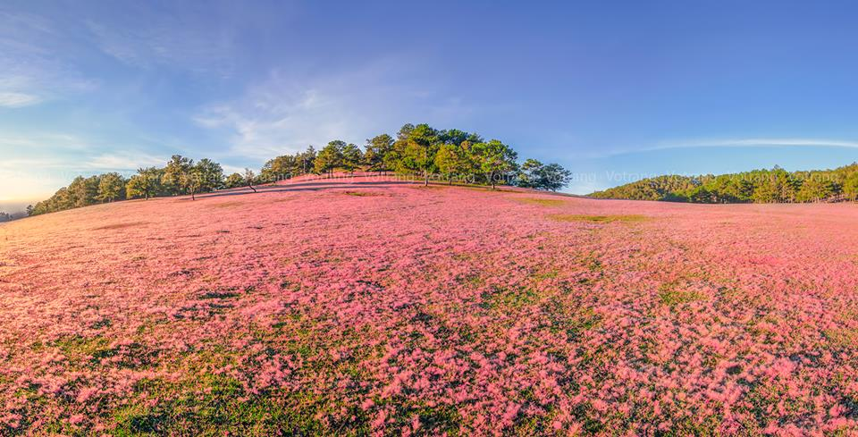 nen-di-da-lat-thang-may 