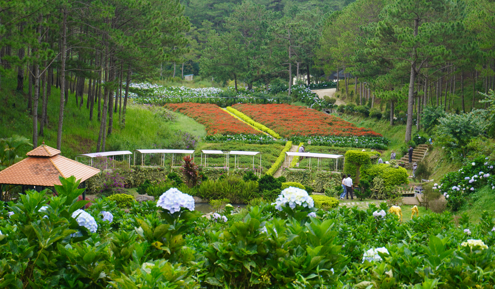 nen-di-da-lat-thang-may 