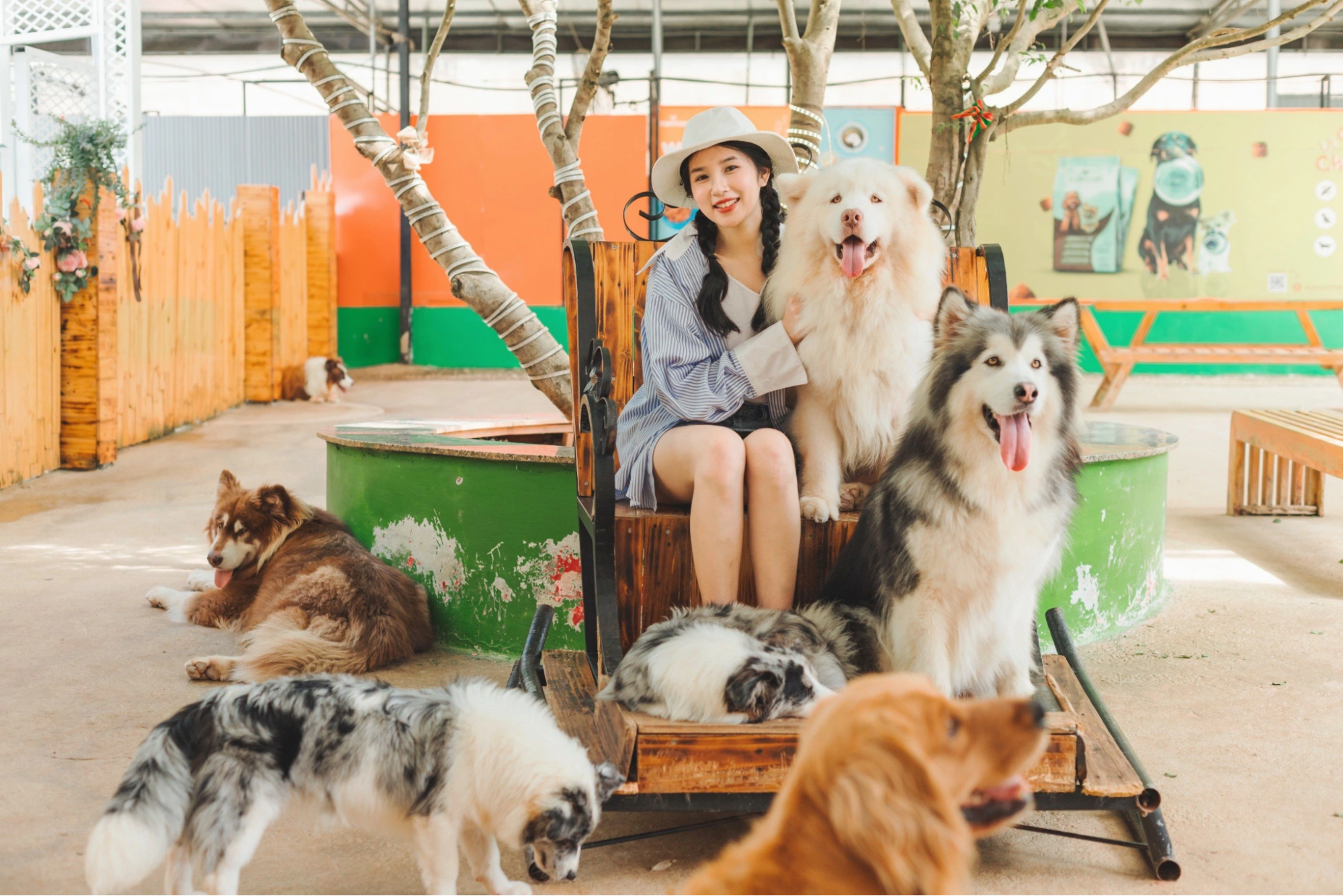 puppy-farm-da-lat-1