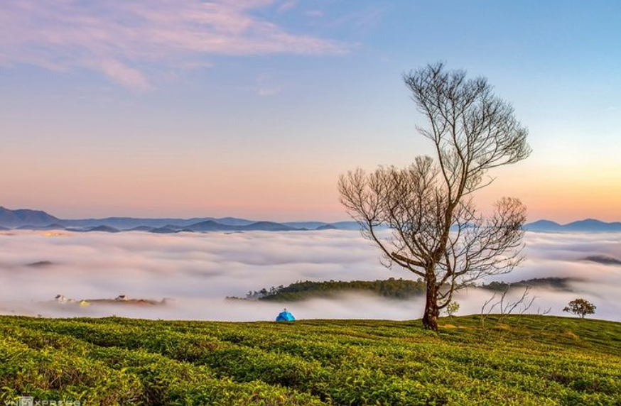 thang-4-da-lat-co-gi