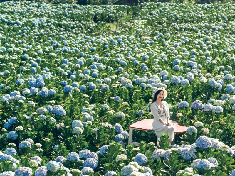 da-lat-thang-3-co-lanh-khong