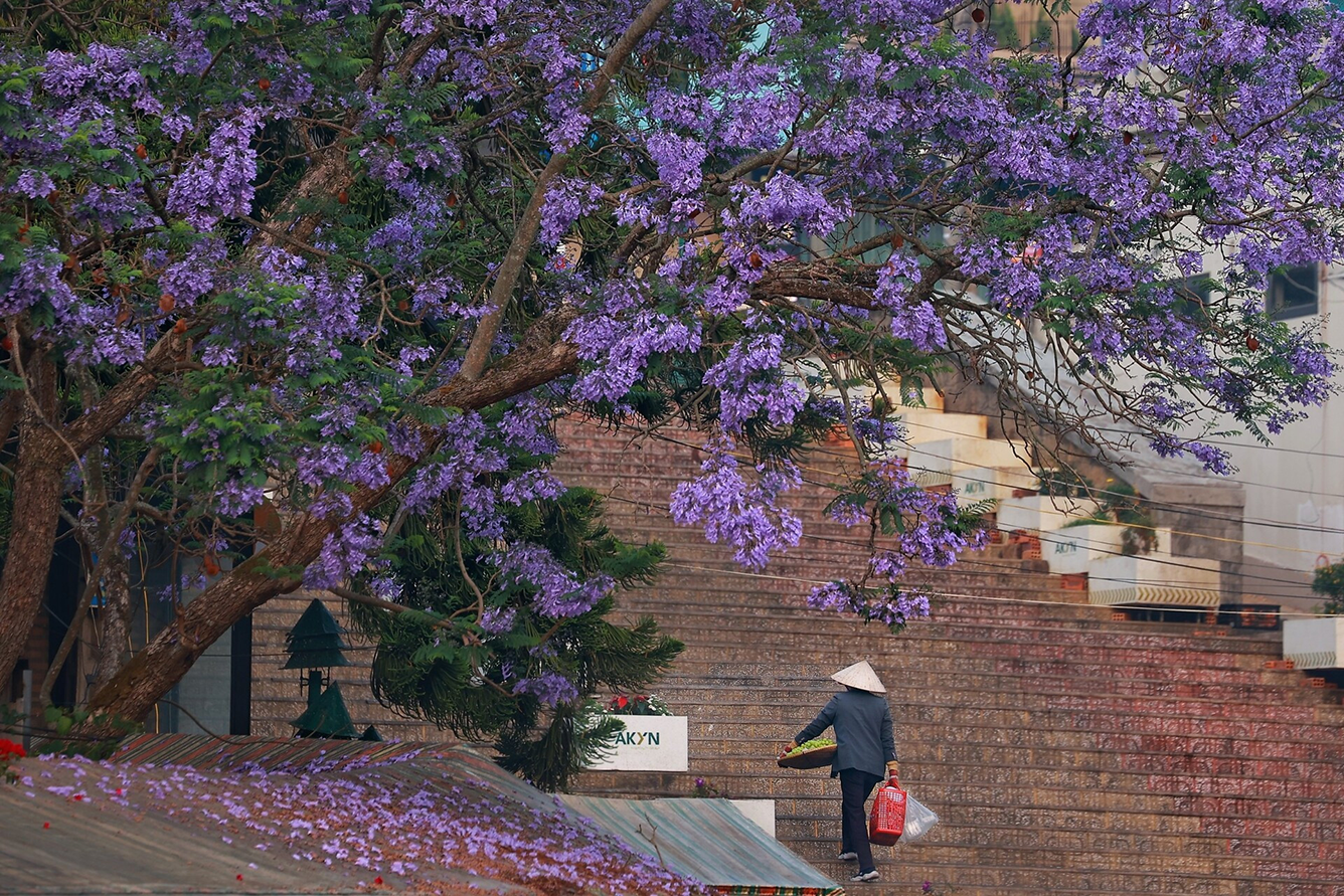 da-lat-thang-3-co-lanh-khong