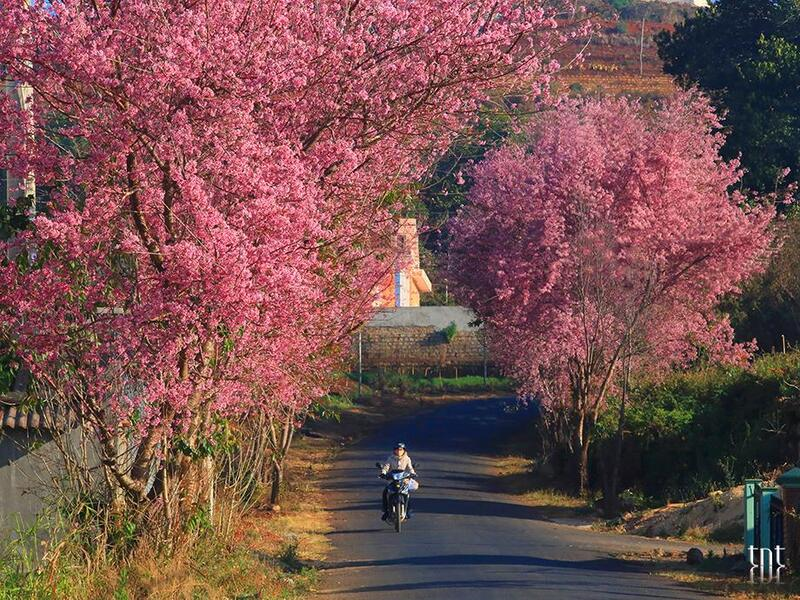 thoi-tiet-da-lat-thang-1