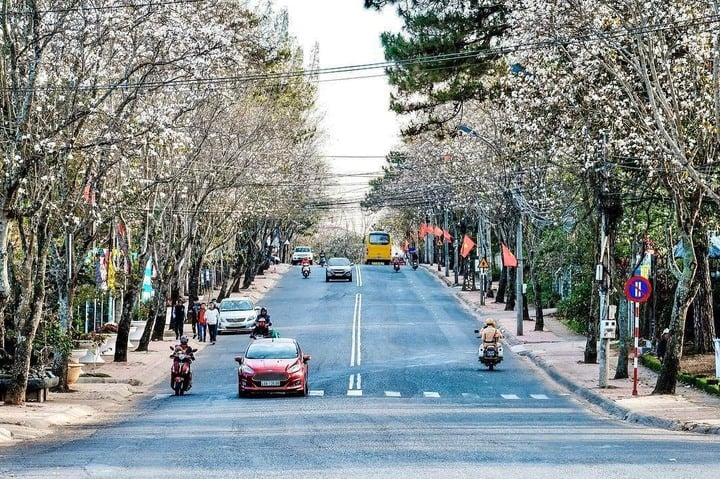 thoi-tiet-da-lat-thang-2