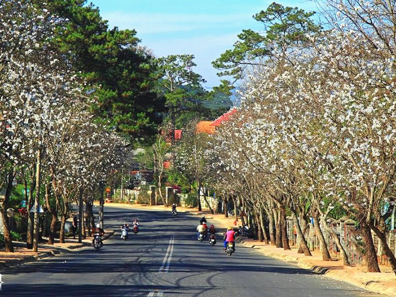 da-lat-thang-3-co-lanh-khong