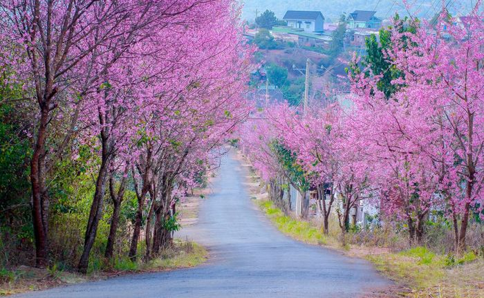 thoi-tiet-da-lat-thang-1