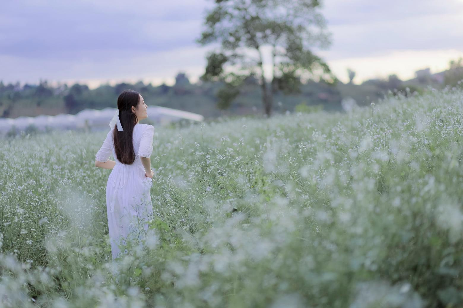 thoi-tiet-da-lat-thang-12