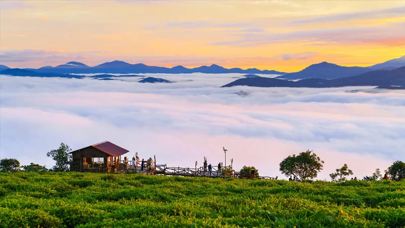 thoi-tiet-da-lat-thang-8