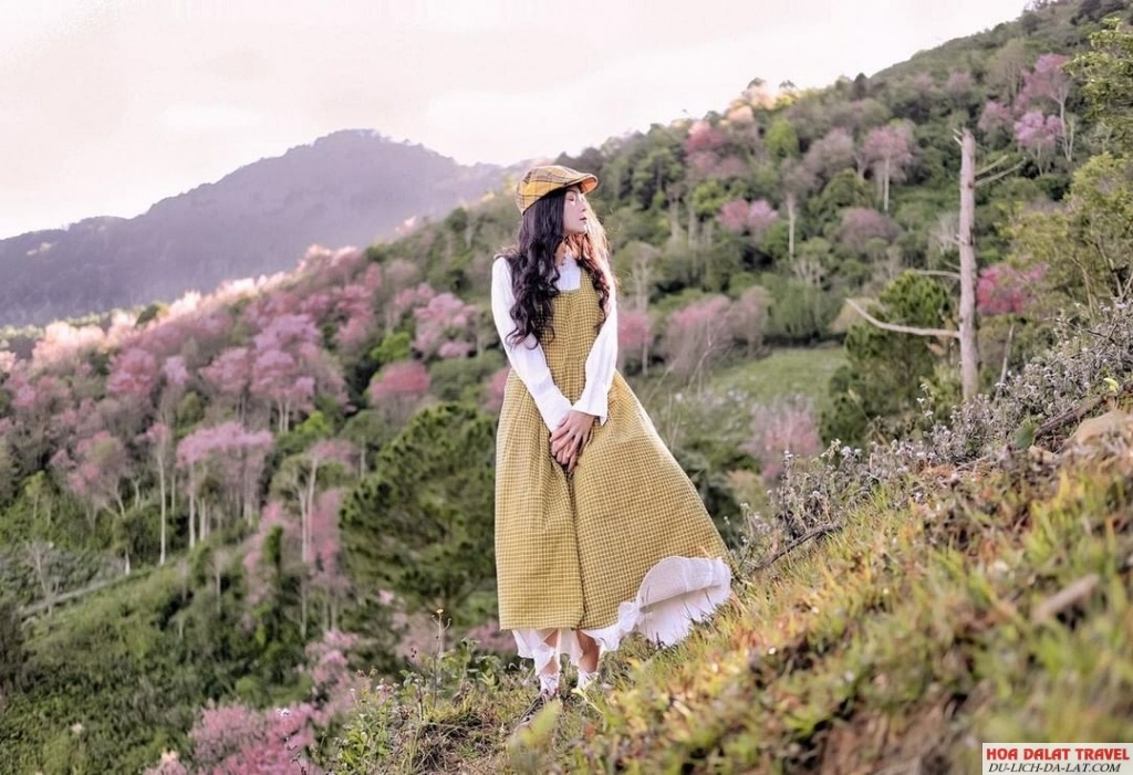 thoi-tiet-da-lat-thang-8